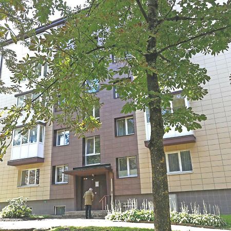 Siauliai Central Spot Apartment - Draugystes Pr. Exterior foto